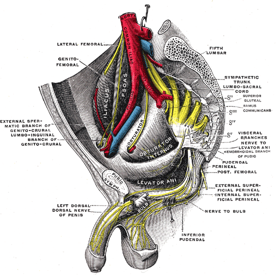 Fig. 837