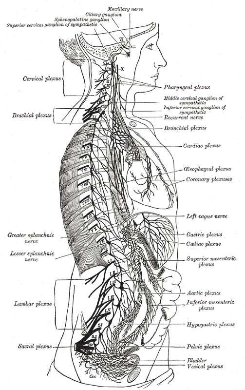 Fig. 838