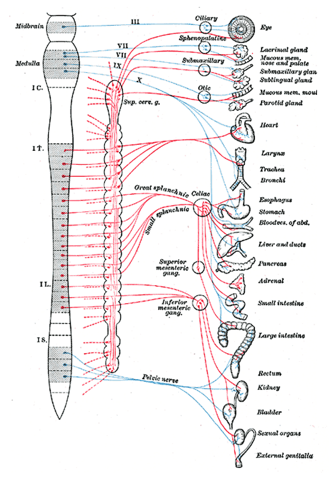 Fig. 839
