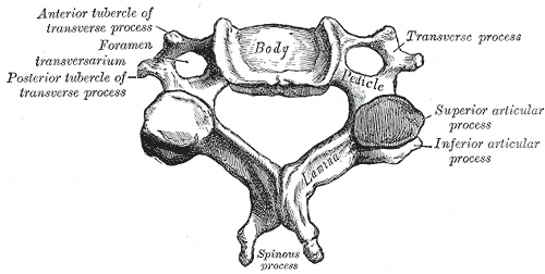 Fig. 84