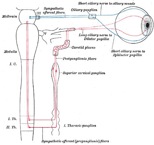 Fig. 840