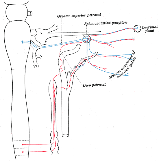 Fig. 841
