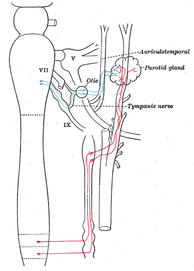 Fig. 843