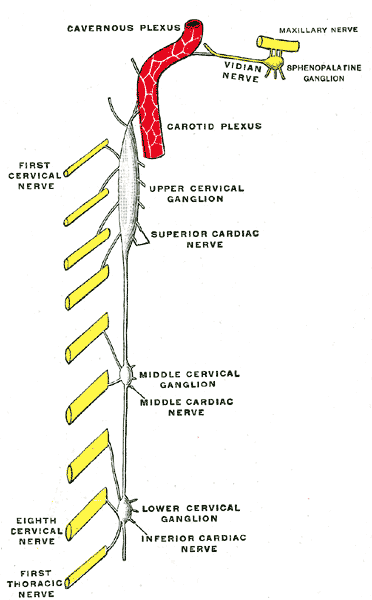 Fig. 844