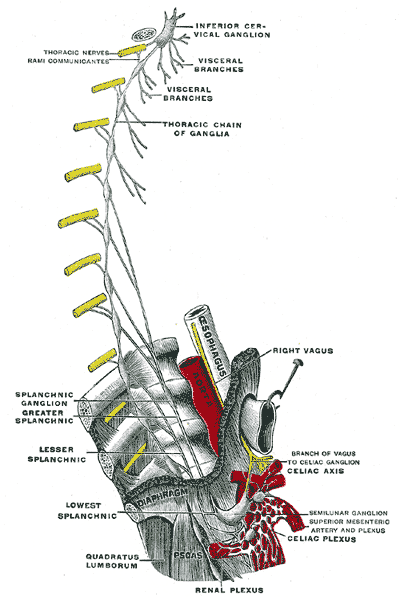 Fig. 845