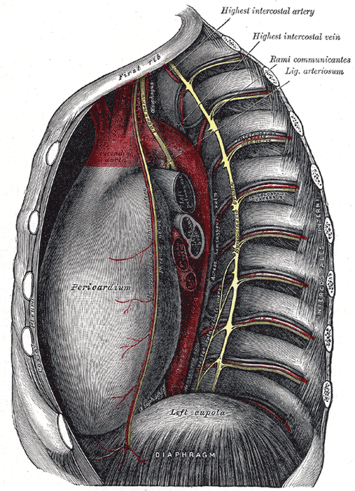 Fig. 846