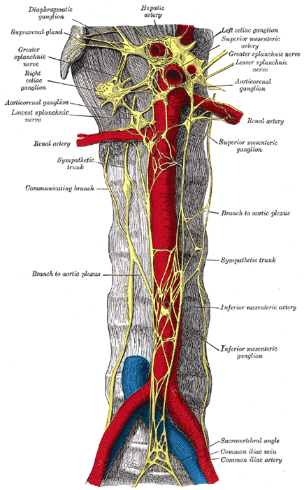Fig. 847