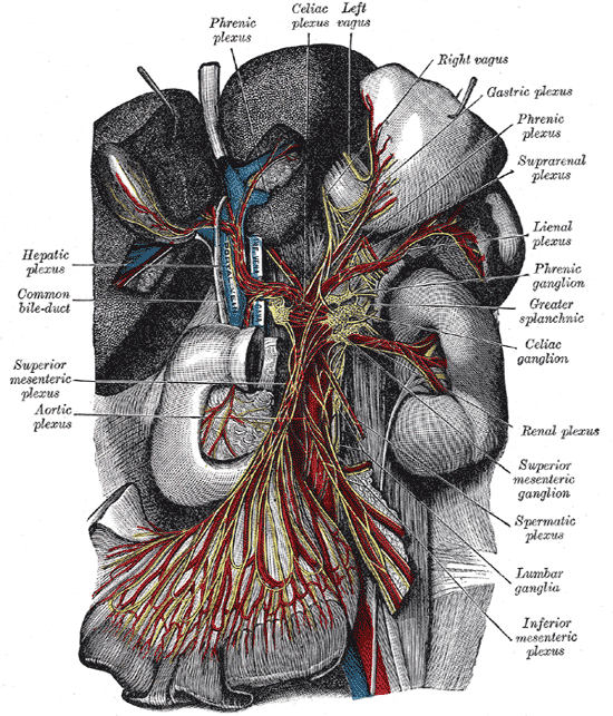 Fig. 848