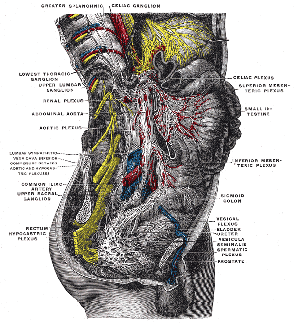 Fig. 849