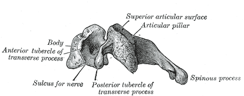 Fig. 85