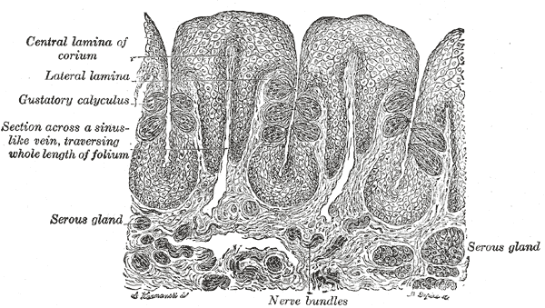 Fig. 850