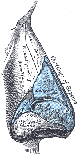 Fig. 852