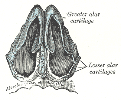 Fig. 853