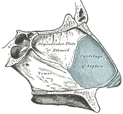 Fig. 854