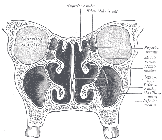 Fig. 859