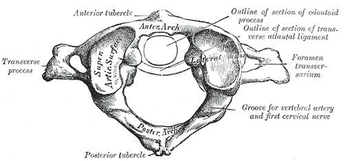Fig. 86