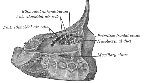 Fig. 860