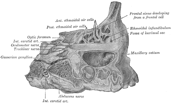 Fig. 861