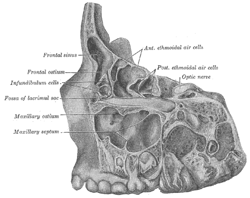 Fig. 862