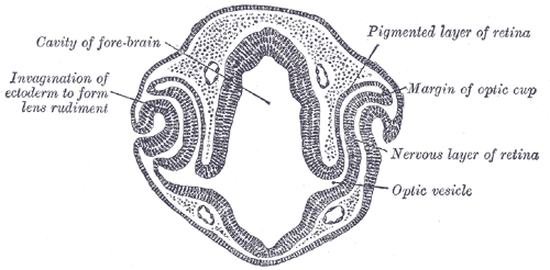 Fig. 863