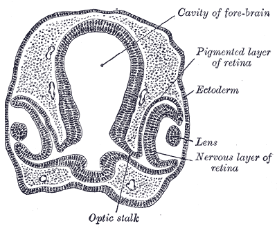 Fig. 864