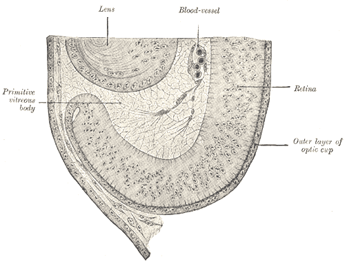 Fig. 868