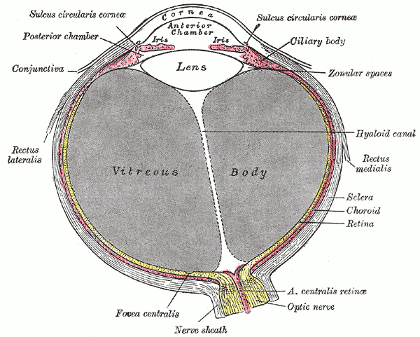 Fig. 869