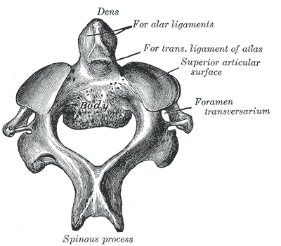 Fig. 87