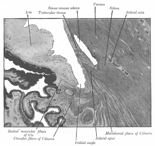 Fig. 870
