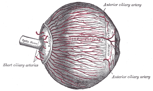 Fig. 873