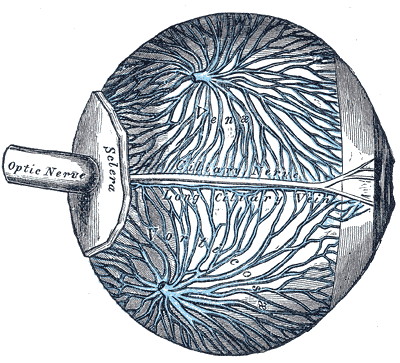 Fig. 874