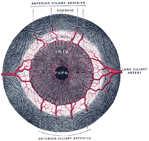 Fig. 878