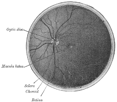Fig. 879