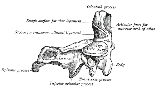 Fig. 88