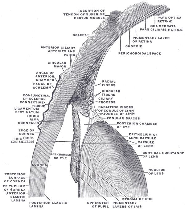 Fig. 883