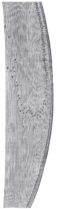 Fig. 887