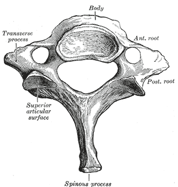 Fig. 89