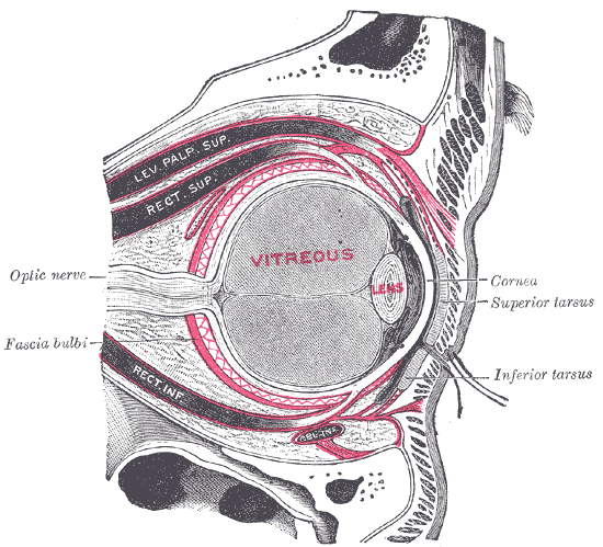 Fig. 891
