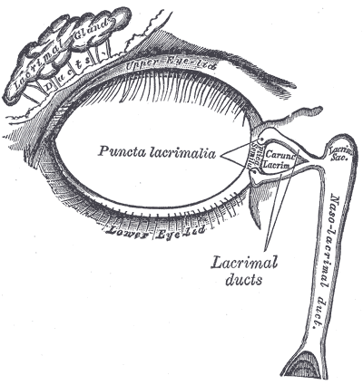 Fig. 896