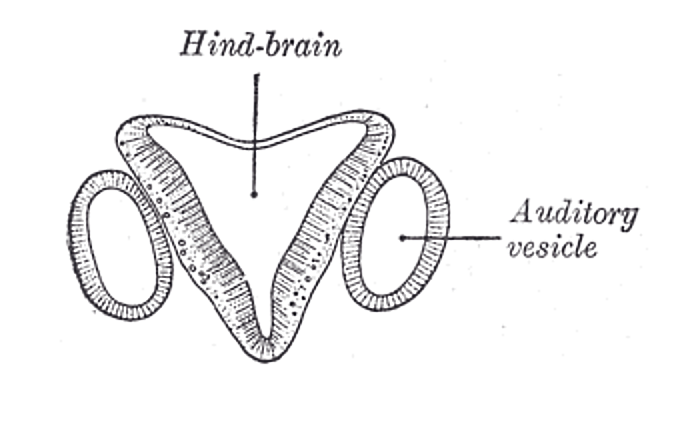 Fig. 899