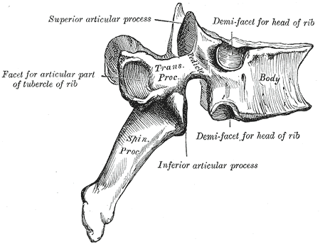 Fig. 90