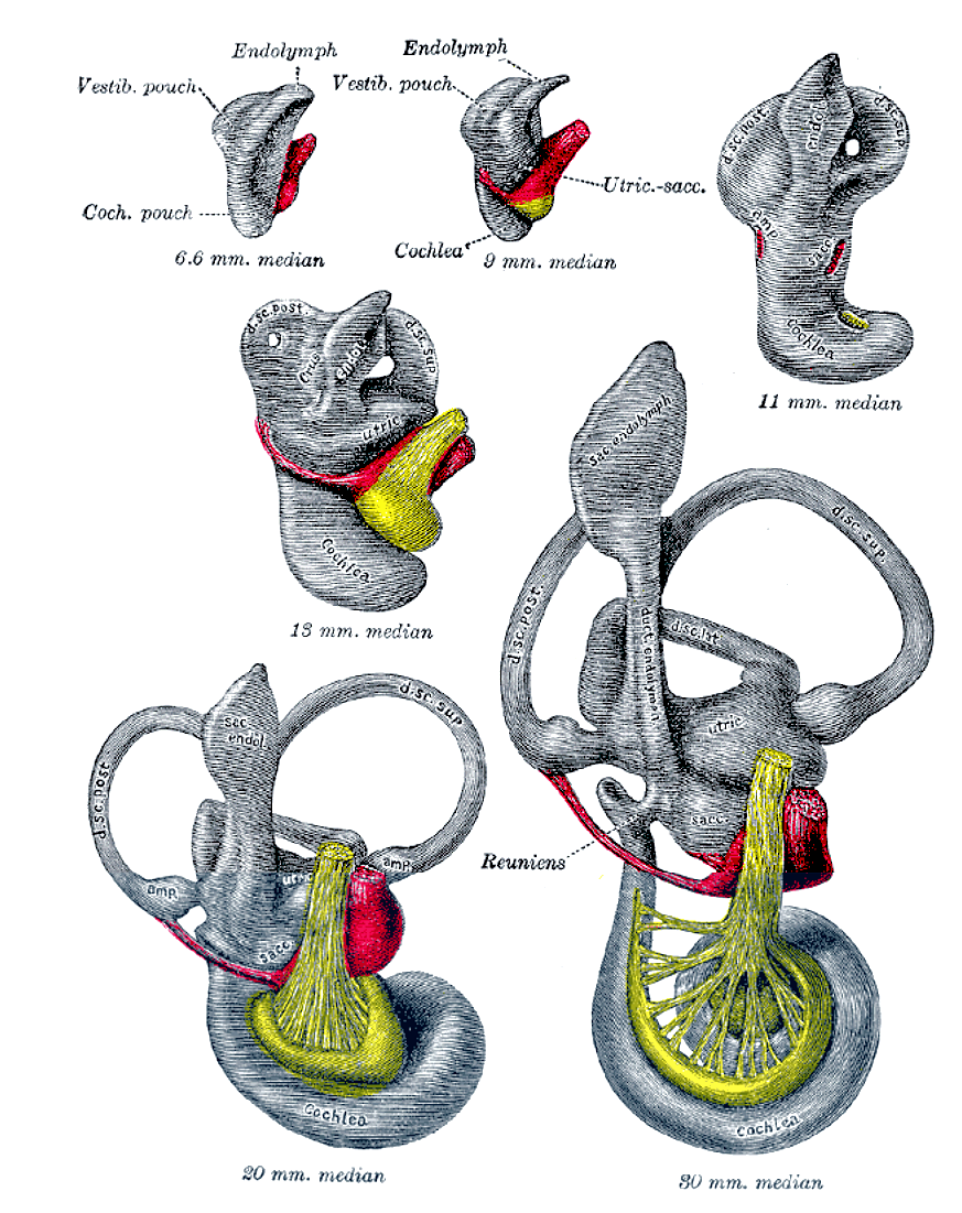 Fig. 901