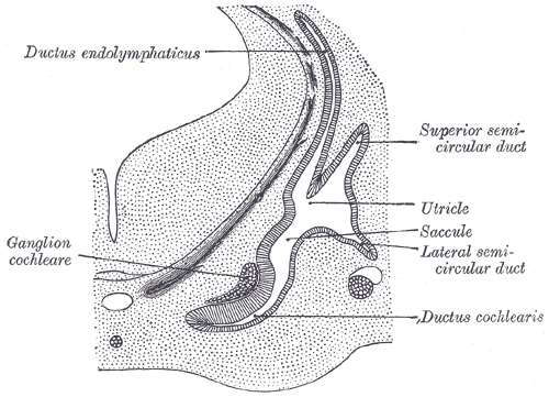 Fig. 902