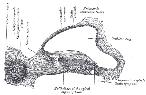 Fig. 903