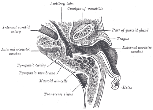 Fig. 908