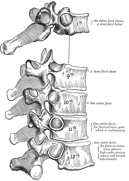 Fig. 91