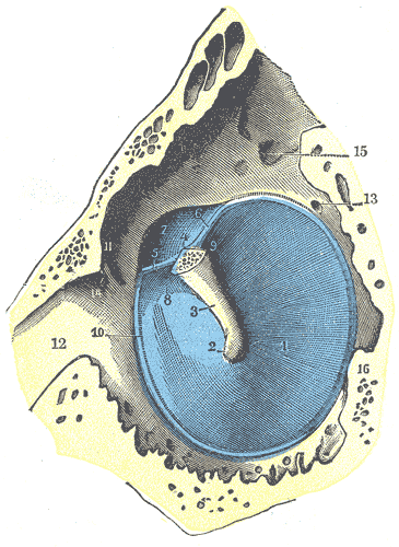 Fig. 910