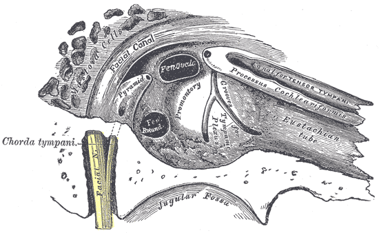 Fig. 911