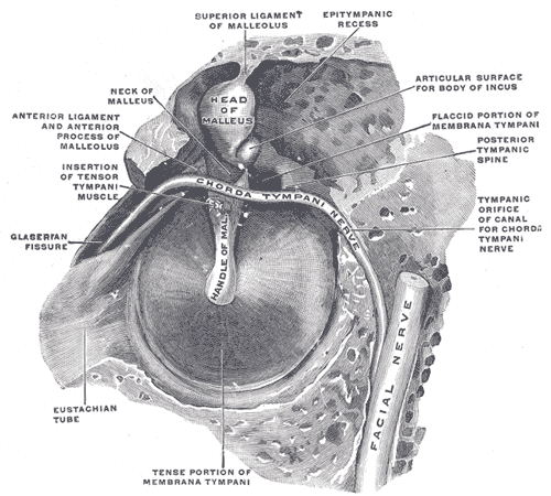 Fig. 912
