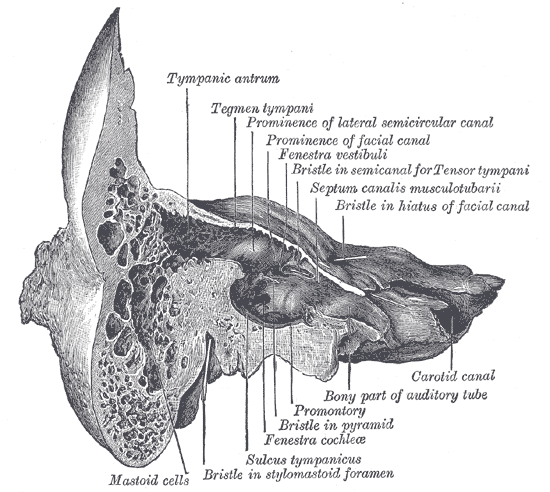 Fig. 913
